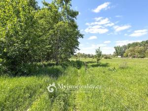 Prodej pozemku, Znojmo - Oblekovice, 8172 m2