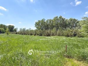 Prodej pozemku, Znojmo - Oblekovice, 8172 m2