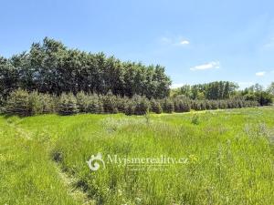 Prodej pozemku, Znojmo - Oblekovice, 8172 m2