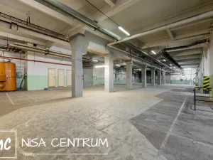 Pronájem výrobních prostor, Hostinné, Nádražní, 6000 m2