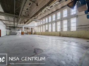 Pronájem výrobních prostor, Hostinné, Nádražní, 6000 m2