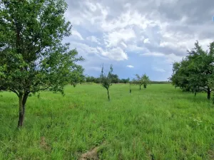 Prodej pozemku pro bydlení, Rešice, 3572 m2