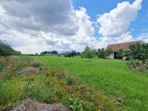 Prodej pozemku pro bydlení, Rešice, 3572 m2