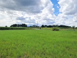 Prodej pozemku pro bydlení, Rešice, 3572 m2