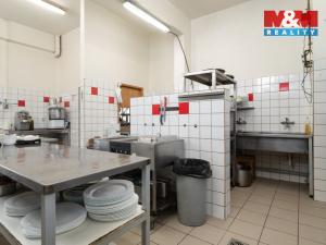 Prodej restaurace, Velké Heraltice, Opavská, 900 m2