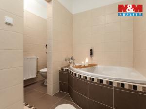 Prodej ubytování, Velké Heraltice, Opavská, 900 m2