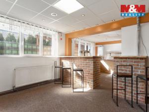 Prodej ubytování, Velké Heraltice, Opavská, 900 m2