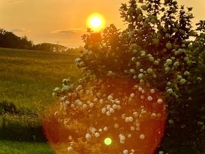 Prodej rodinného domu, Uhelná Příbram - Pukšice, 300 m2