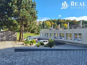 Pronájem bytu 2+1, Meziboří, nám. 8. května, 50 m2