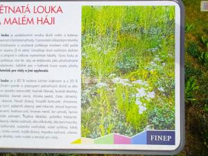 Pronájem bytu 3+kk, Praha - Dolní Měcholupy, Honzíkova, 86 m2