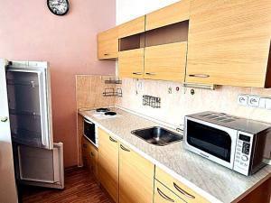 Pronájem bytu 1+kk, Kyselka - Radošov, 21 m2