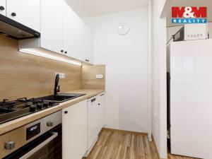 Prodej bytu 2+kk, Opava, Holasická, 38 m2