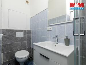 Prodej bytu 2+kk, Opava, Holasická, 38 m2