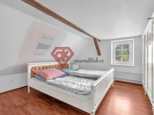 Prodej chalupy, Klášterec nad Orlicí, 250 m2