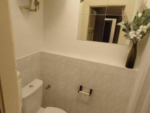 Pronájem bytu 1+kk, Praha - Žižkov, Hartigova, 22 m2