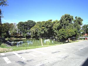 Pronájem bytu 2+kk, Svémyslice, 71 m2