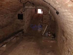 Prodej vinného sklepa, Terezín, 24 m2