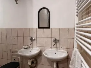 Pronájem obchodního prostoru, Šumbark, U Závor, 120 m2