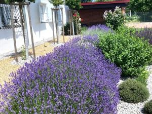 Prodej rodinného domu, Šťáhlavy, K Bažantnici, 160 m2