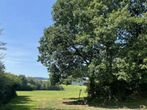 Prodej pozemku pro bydlení, Kolinec - Sluhov, 3805 m2