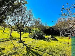 Prodej rodinného domu, Roštín, 91 m2