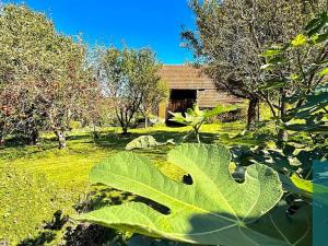 Prodej rodinného domu, Roštín, 91 m2