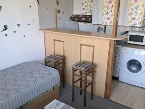 Pronájem bytu 1+kk, České Budějovice, Pražská tř., 20 m2