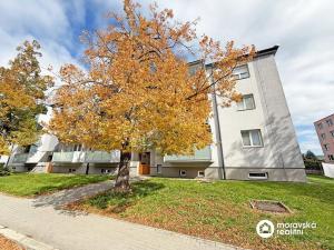 Pronájem bytu 1+1, Moravský Krumlov, Břízová, 48 m2
