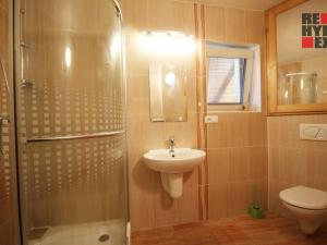 Prodej rodinného domu, Karlovice, 204 m2