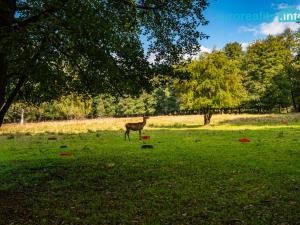Prodej komerčního pozemku, Cheb, 86573 m2