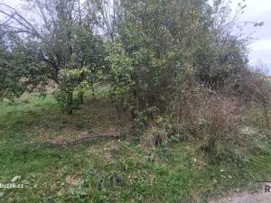 Prodej zahrady, Bohdalice-Pavlovice, 461 m2