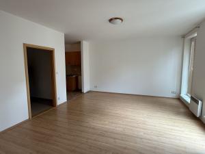 Pronájem bytu 1+kk, Brno - Brno-město, Panská, 37 m2