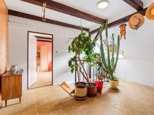 Prodej rodinného domu, Cvikov - Lindava, 380 m2