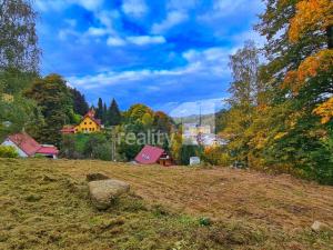 Prodej chaty, Liberec - Liberec XXX-Vratislavice nad Nisou, Za Tratí, 1200 m2