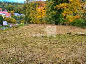 Prodej chaty, Liberec - Liberec XXX-Vratislavice nad Nisou, Za Tratí, 1200 m2