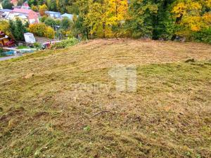 Prodej chaty, Liberec - Liberec XXX-Vratislavice nad Nisou, Za Tratí, 1200 m2