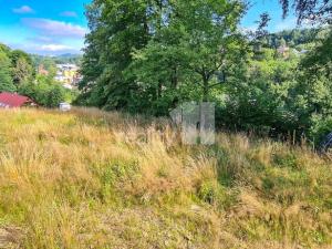 Prodej chaty, Liberec - Liberec XXX-Vratislavice nad Nisou, Za Tratí, 1200 m2