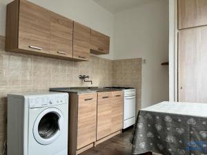 Pronájem bytu 1+1, Habartov, Raisova, 42 m2