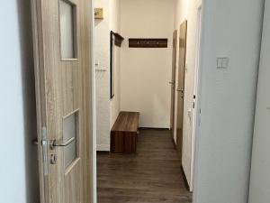 Pronájem bytu 1+1, Habartov, Raisova, 42 m2