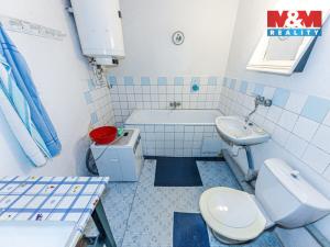 Prodej chalupy, Žiželice - Loukonosy, 66 m2
