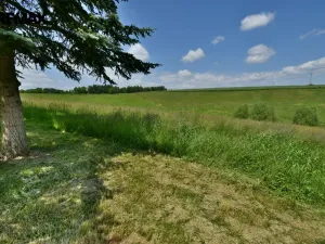 Prodej rodinného domu, Horní Olešnice - Ždírnice, 104 m2