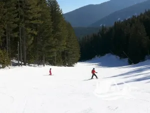 Prodej bytu 1+kk, Bansko, Bulharsko, 27 m2