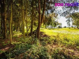 Prodej rodinného domu, Sviny, 234 m2