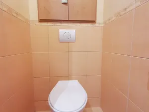 Prodej bytu 3+1, Orlová, F. S. Tůmy, 71 m2