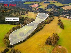 Prodej pozemku pro bydlení, Orličky, 56718 m2