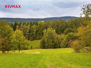 Prodej pozemku pro bydlení, Orličky, 56718 m2