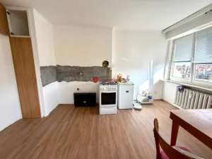 Pronájem bytu 3+1, Praha - Dejvice, Evropská, 100 m2