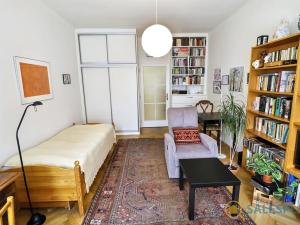 Prodej bytu 1+kk, Praha - Nové Město, Opatovická, 34 m2