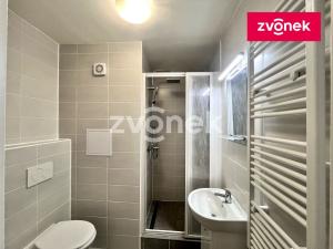 Pronájem bytu 2+1, Zlín, SNP, 43 m2