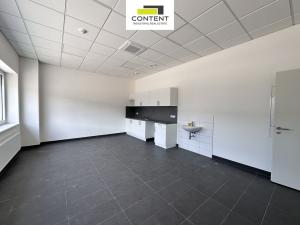 Pronájem skladu, Cheb, Podhradská, 11310 m2